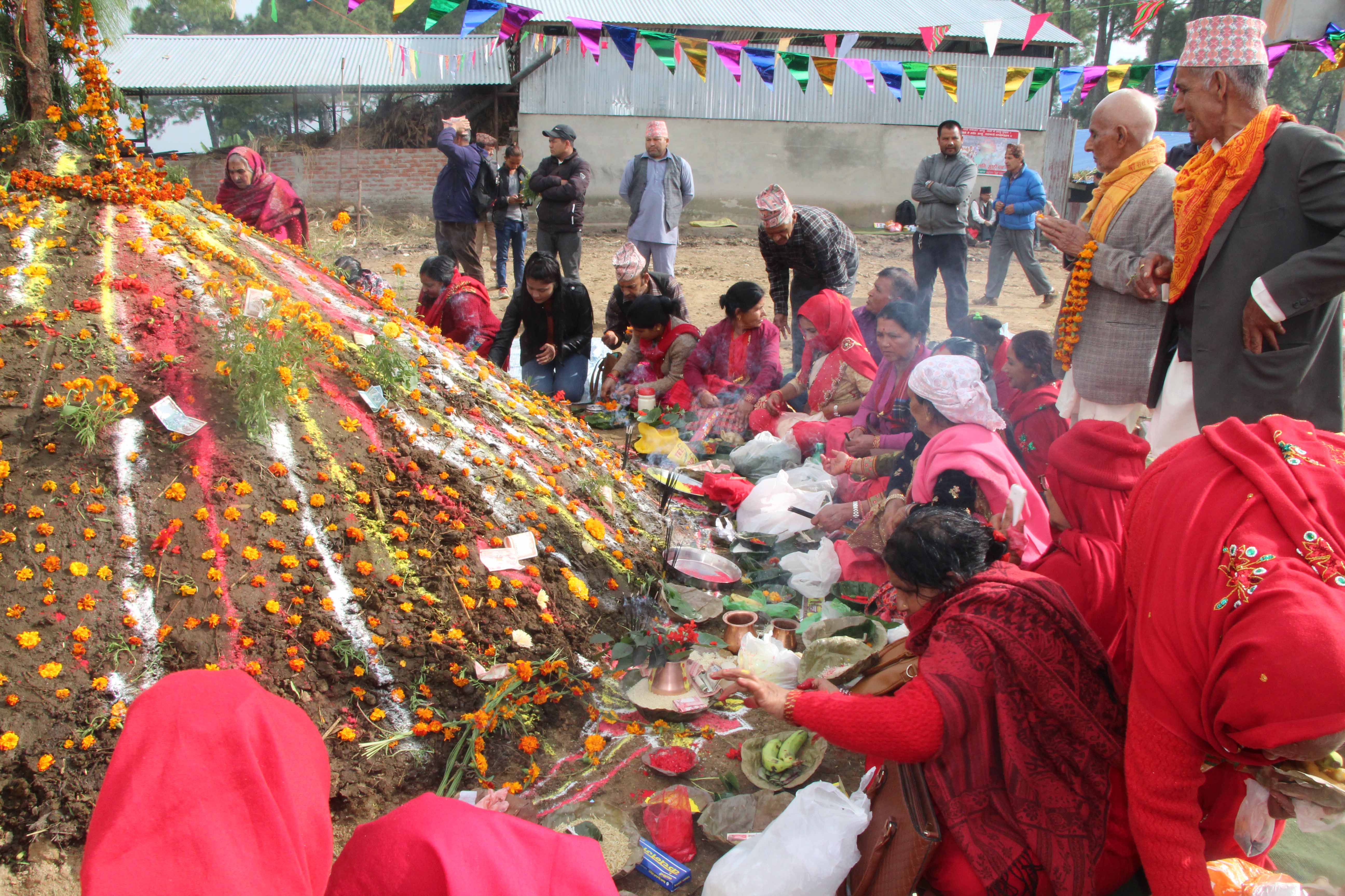 आज तिहारको चौथो दिनः गाई र गोरुको पूजा गरी मनाइँदै 